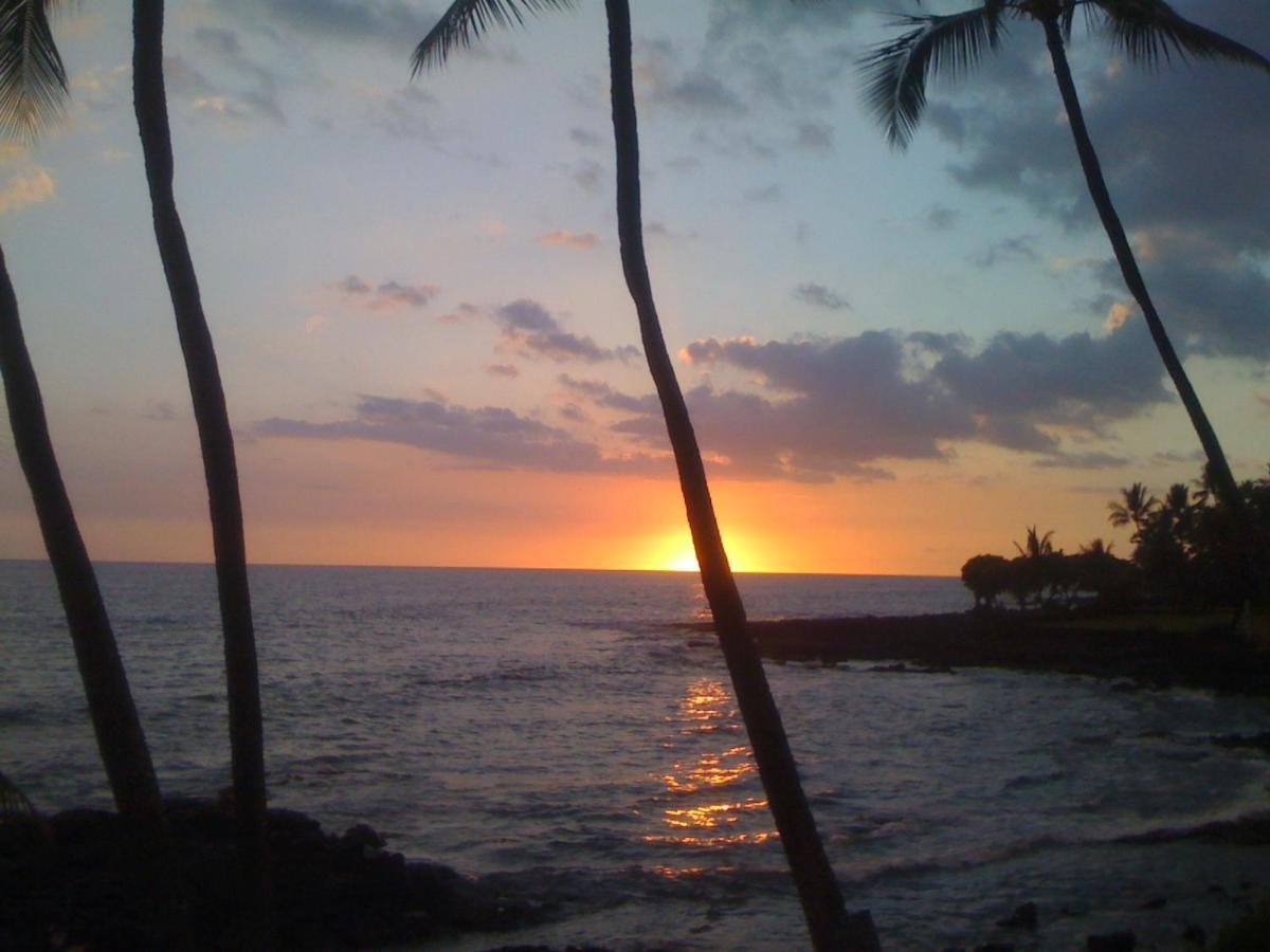 Kona Bali Kai 317 Direct Oceanfront Villa Kailua-Kona Eksteriør bilde